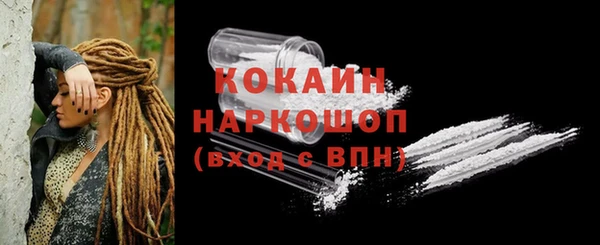 стафф Новодвинск