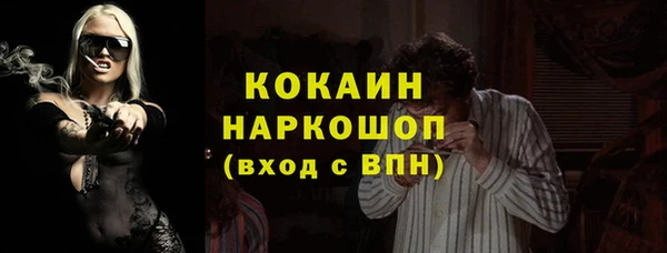 стафф Новодвинск