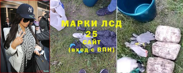 стафф Новодвинск