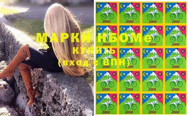 стафф Новодвинск