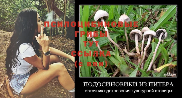 винт Няндома