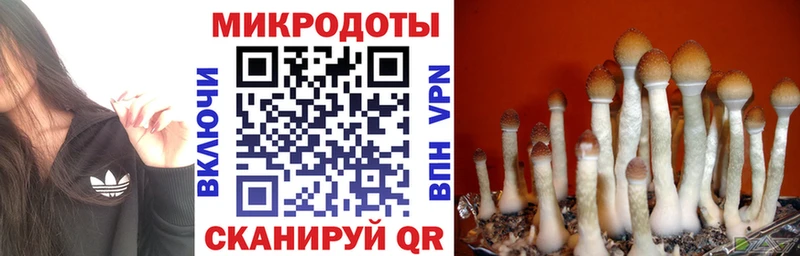 Псилоцибиновые грибы Psilocybe  сколько стоит  блэк спрут как войти  Лукоянов 